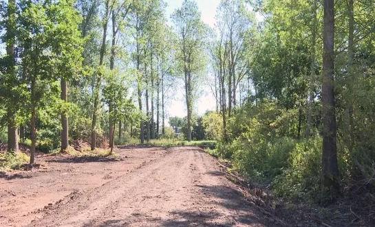 Natuurgebied de warande in Mechelen