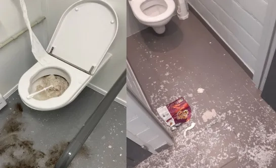 vandalisme lille compilatie