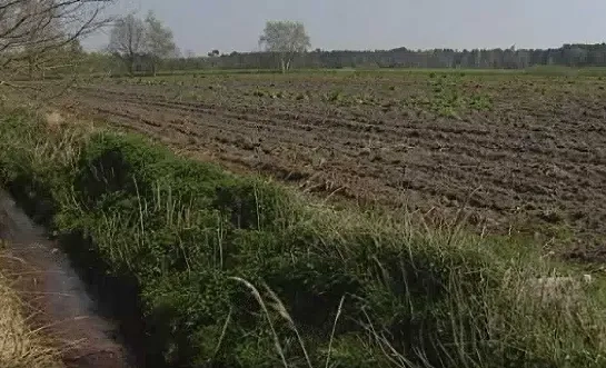 omgeving landschap de Liereman 