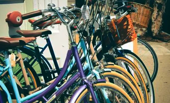 Puurs- St-Amands fietsen te koop