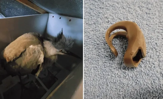 reiger VOC Neteland fietslamp rubber zwerfvuil