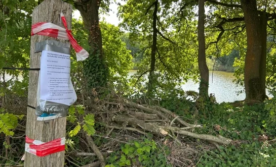 Botulisme in vijver Beerse?