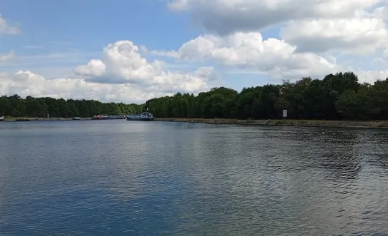 Waterskiclub mag niet trainen op kanaal door blauwalg