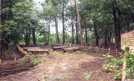 Natuurbegraafplaats Geel
