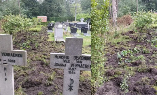 begraafplaats Mol omgewoeld