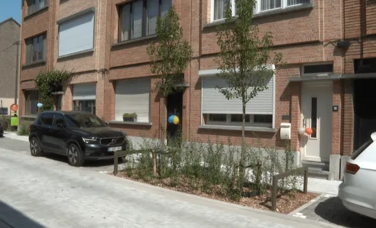 Donkerlei buurt Mechelen-Noord groener