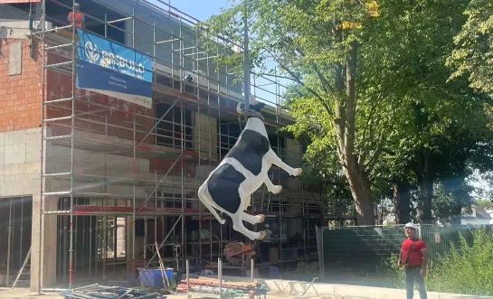 De Meent gemeentehuis Olen koe hoogste punt werken