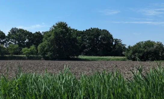 maanhoevevallei katelijn