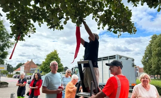 rood lint voor Gaza vredesboom Lichtaart Kasterlee