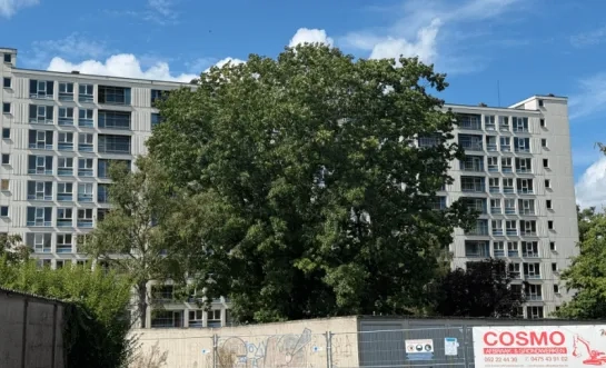 appartementsgebouwen willebroek