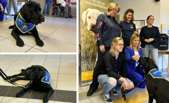 Hond Charlie in woonzorgcentrum Grobbendonk