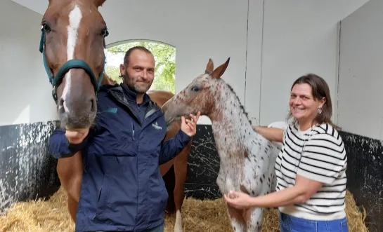 Spikkel haalt op veiling 125.000 euro