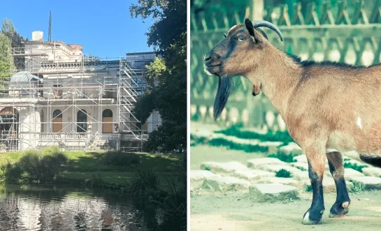 geitjes vermoord Tivoli Mechelen