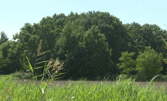 Maenhoevevelden Sint-Katelijne-Waver dossier woonproject
