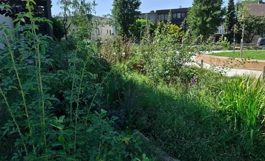 Tuin Sint-Pietersinstituut Turnhout