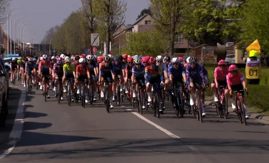scheldeprijs 