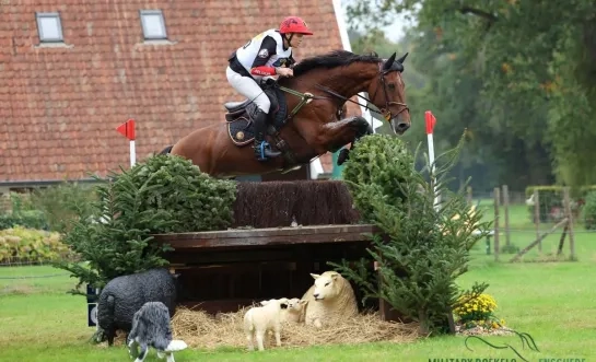 Karin Donckers ruiter Minderhout