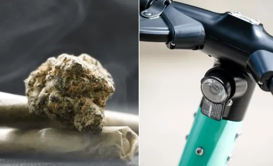 cannabis step drugsvangst