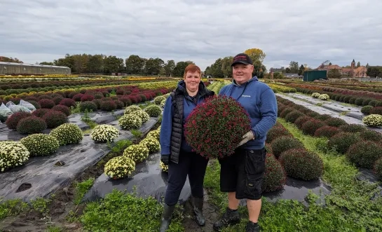 chrysanten Baeten-De Wever