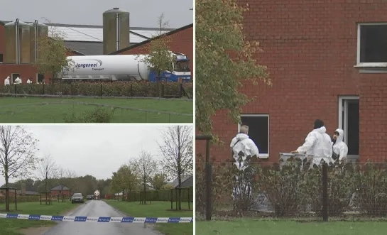 Vogelgriep in bedrijf in Weelde