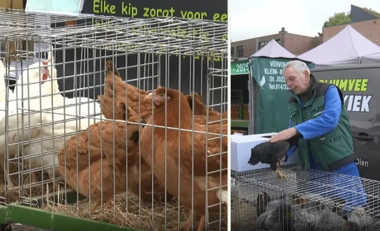 Jan Kiek stopt met kippenverkoop op Herentalse markt