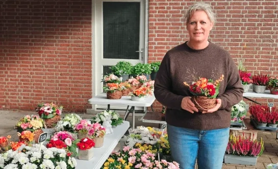 chrysanten aan kerkhof Geel