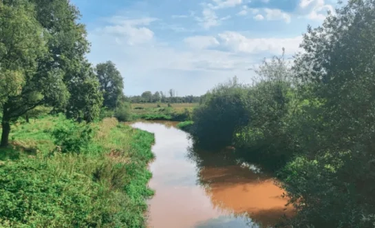 onttrekkingsverbod archief RTV