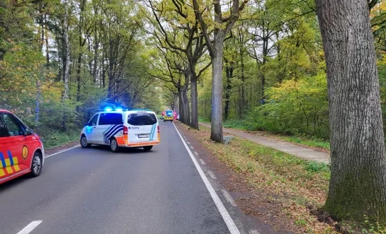 Auto tegen boom in Poederlee