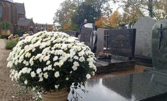 Regenachtige Allerheiligen houdt bezoekers niet tegen in Westerlo