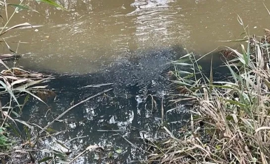 Grote Nete in Westmeerbeek vervuild