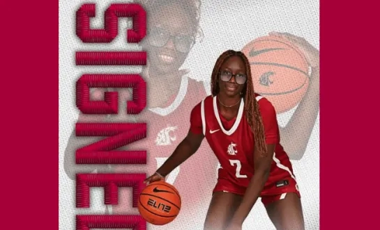 kangoeroes basket Facebook