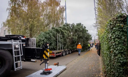 kerstboom Sint-Katelijne-Waver Grote Markt Brussel