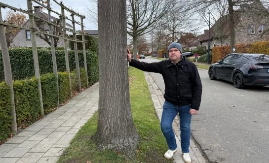 Bomenkap verdeelt woonwijken
