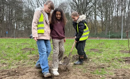 Stadsbos De Wieltjes Turnhout eerste bomen