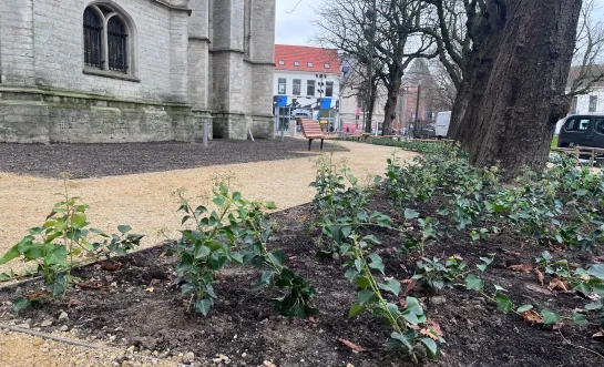 Heraanleg Sint-Romboutskerkhof Mechelen