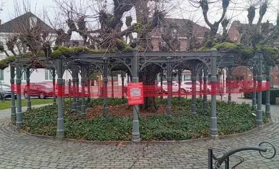 Rode lijn voor Gaza Westerlo