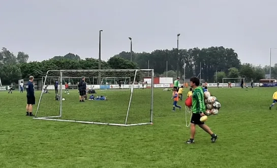 kunstgrasveld Hallaar Heist-op-den-Berg