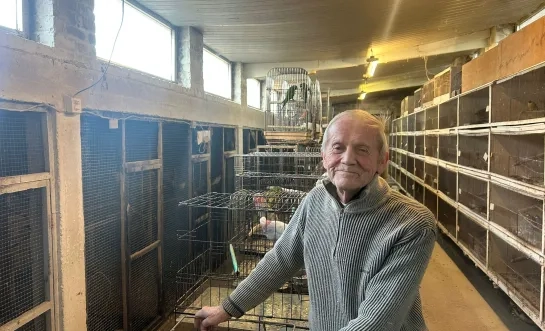 Heistenaar Gorgon Bellekens neemt afscheid van Antwerpse vogeltjesmarkt: “Met één pennentrekker is het gedaan”