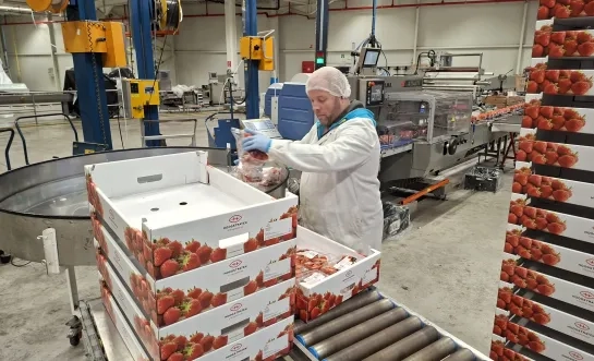 Coöperatie Hoogstraten fabriek