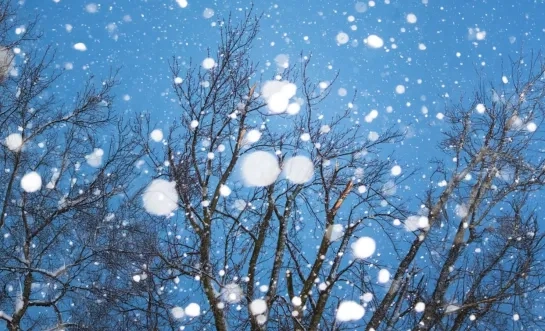 Winterprik op komst: sneeuw en ijsdagen sluiten kerstvakantie af