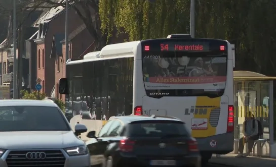 Buslijn 54