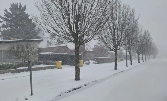 sneeuw Turnhout