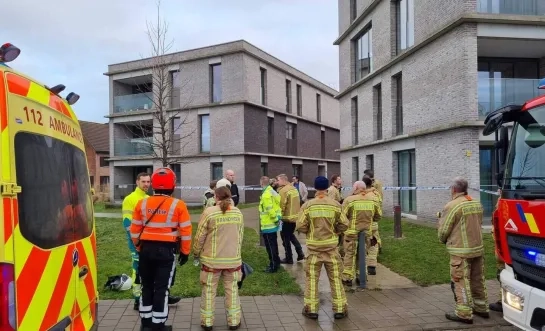 Vrouw van 86 komt om het leven bij brand in Willebroek