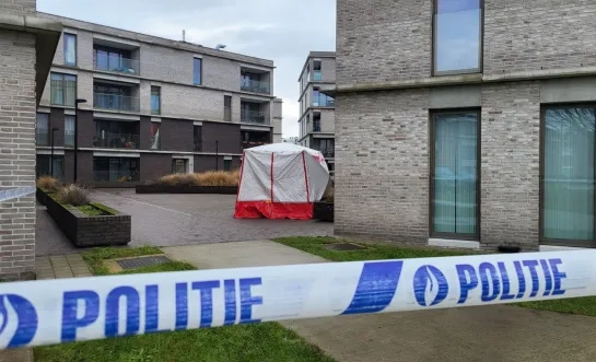 Vrouw van 86 komt om het leven bij brand in Willebroek