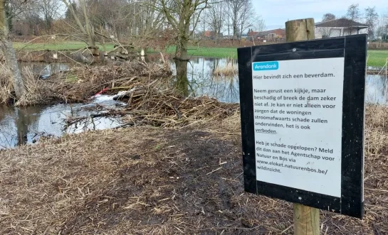 beverdam overstroming Arendonk kunstacademie