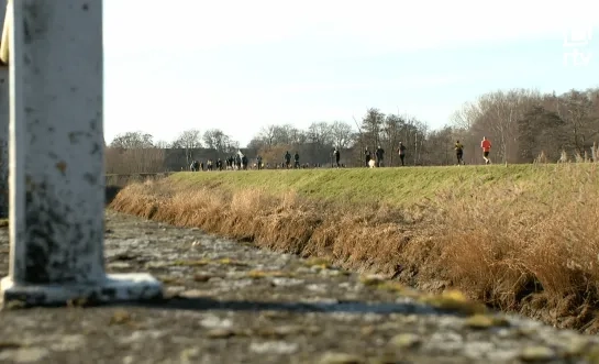 Halve marathon door Lier