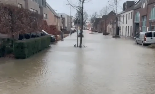 waterlek zammel archief.p