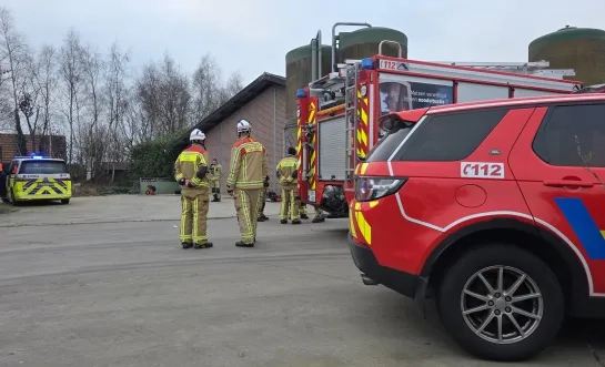 Onwel door mestgassen in Meerle