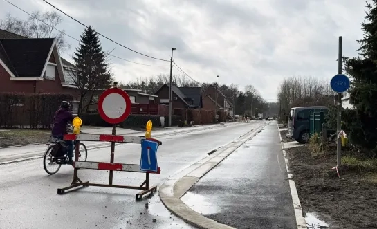 Bonheiden geeft boom cadeau als compensatie voor rooien bomenrij