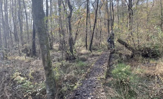 vlonderpaden gemeente Mol